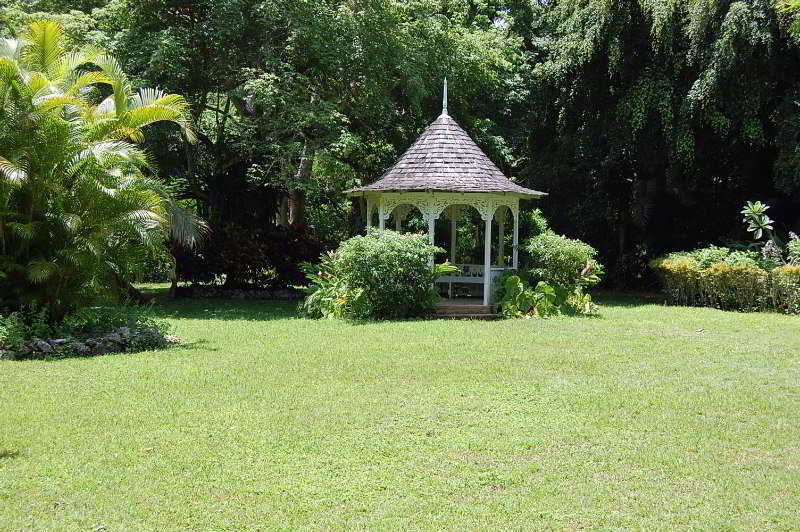 Inn At Shaw Park Gardens & Waterfalls 奥乔里奥斯 外观 照片