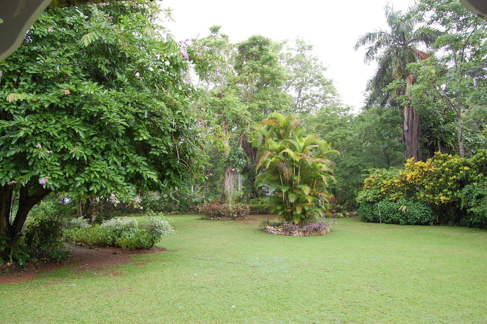 Inn At Shaw Park Gardens & Waterfalls 奥乔里奥斯 外观 照片