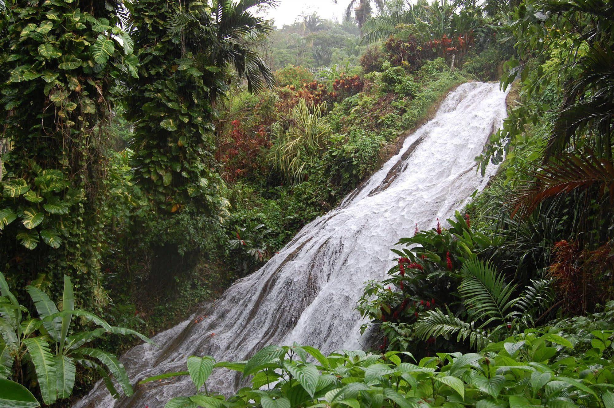 Inn At Shaw Park Gardens & Waterfalls 奥乔里奥斯 外观 照片